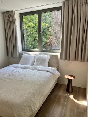 a bedroom with a bed and two windows at Tronc Verdi in Roeselare