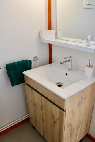 a bathroom with a white sink and a green towel at Chalet Au Petit Bonheur Piscine & Domaine calme in Rivières
