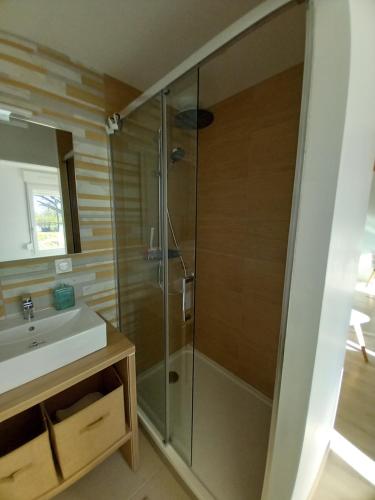 a bathroom with a shower and a sink at Rever la Saône in Rigny