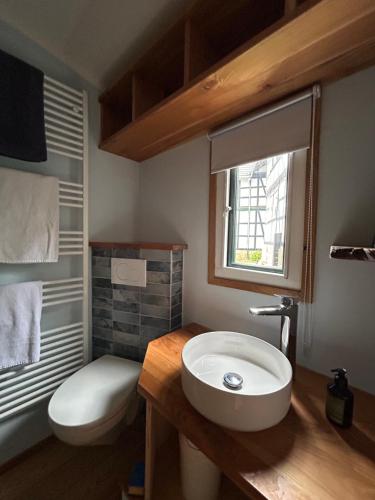 a bathroom with a sink and a toilet at Zirkuswagen im Gutshof in Lutterberg