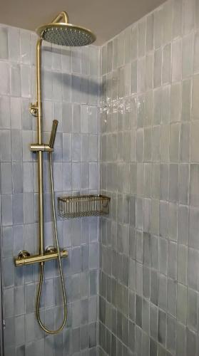 a bathroom with a shower with blue tiles at Apple Tree View in Coulston