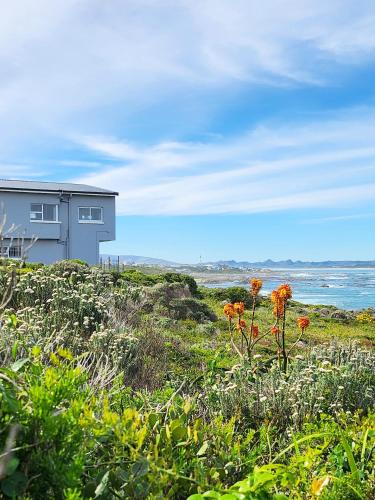 a house on a beach with flowers in the grass at Klipfontein House in Kleinbaai