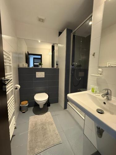 a bathroom with a toilet and a sink and a shower at pension N.10 in Frymburk