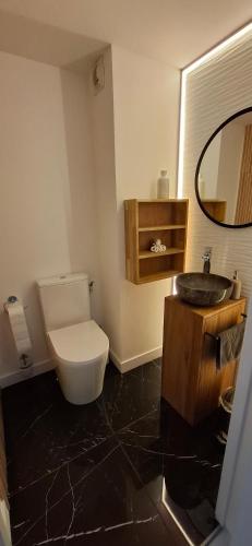 a bathroom with a toilet and a sink and a mirror at Couleur océan, piscine et plage in Le Croisic