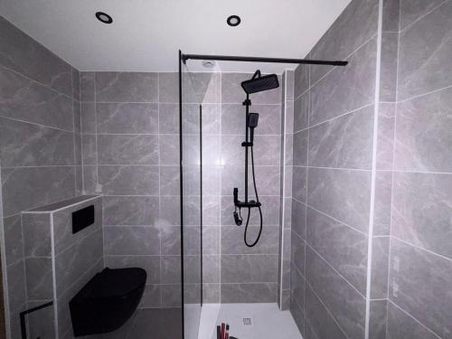 a bathroom with a shower with a toilet in it at Duplex moderne hyper-centre Tout à pied in Thonon-les-Bains