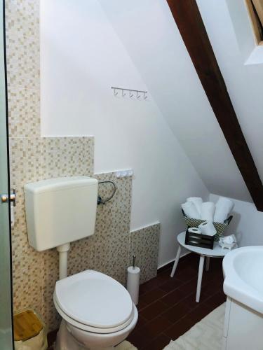 a bathroom with a toilet and a sink at Baritiu Apartment Brasov in Braşov