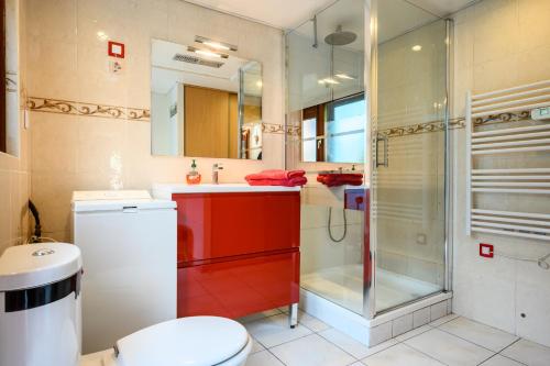 a bathroom with a shower and a toilet and a sink at Gîte La Petite Maison Des Vacances in Kaysersberg