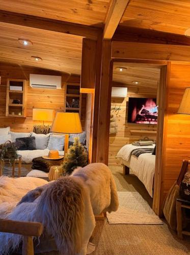 a bedroom with a large bed and a tv at Le Chalet du lac in Biscarrosse