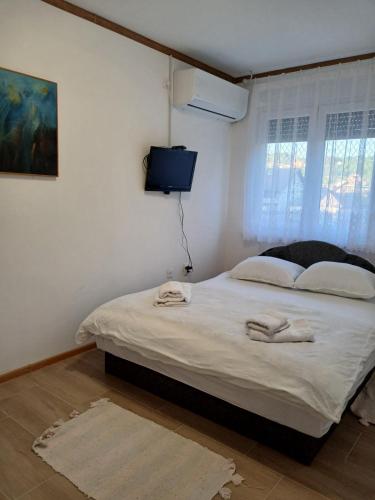 a bedroom with a bed with a tv on the wall at APARTMAN Verica 2025 in Vrdnik