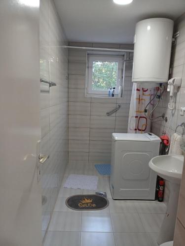 a bathroom with a shower and a toilet and a sink at APARTMAN Verica 2025 in Vrdnik