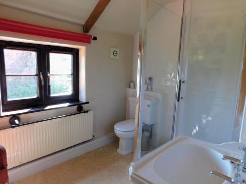 a bathroom with a toilet and a shower and a sink at Beechwood Cottage in Filby