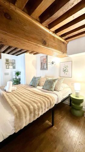 Belfort 2 Bedrooms Croix Rousse