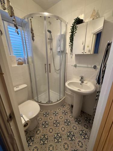 a bathroom with a shower and a toilet and a sink at Holly Berry Cottage in Holme next the Sea