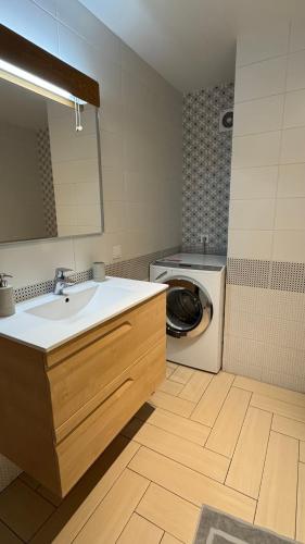 a bathroom with a sink and a washing machine at Spacious modern loft on Perfetskogo in Lviv