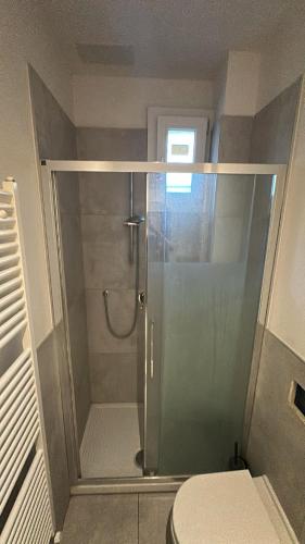 a glass shower in a bathroom with a toilet at Arcadia Hosting Aeroporto in Bologna