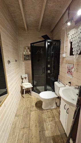 a bathroom with a shower and a toilet and a sink at Wysockie Zacisze in Osowa