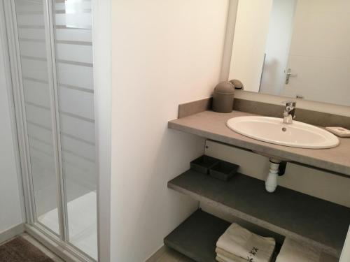 a bathroom with a sink and a mirror at Le Cabanon de Laura in L'Isle-sur-la-Sorgue