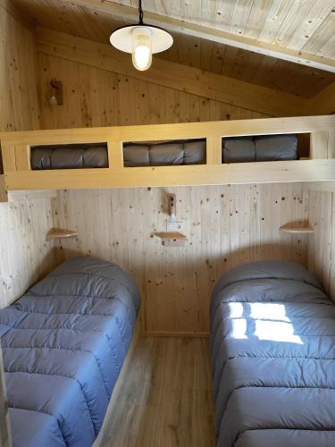 two beds in a cabin with wooden walls at L'arbousier in Clermont-lʼHérault