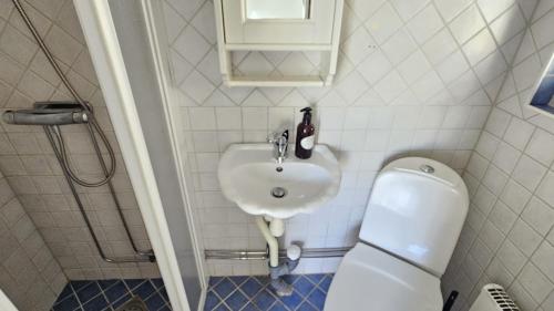 a small bathroom with a sink and a toilet at Cozy seaside cottage SE09169 in Myggenäs