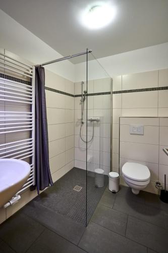 a bathroom with a shower and a toilet and a sink at Haus Strandbrise Graal-Müritz in Graal-Müritz