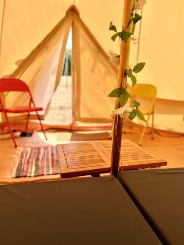 a plant in a vase in a room with a tent at The Old Airfield Campsite in Bransgore