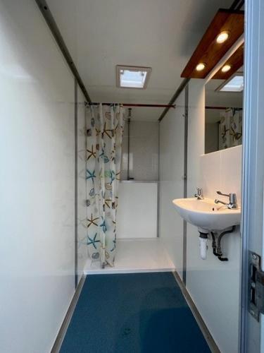 a bathroom with a sink and a toilet and a shower at The Old Airfield Campsite in Bransgore