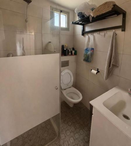 a small bathroom with a toilet and a sink at Cherry trees & mount Hermon views,near ram pool in Majdal Shams