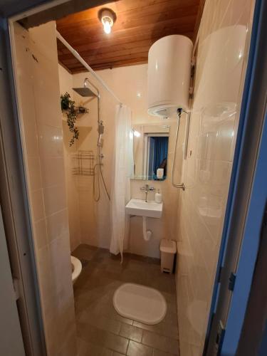 a bathroom with a toilet and a sink at NeNa Apartmani - Ruma #2 in Ruma