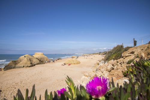 a beach with some rocks and purple flowers at Villa Magali by Algarve Holidays in Galé
