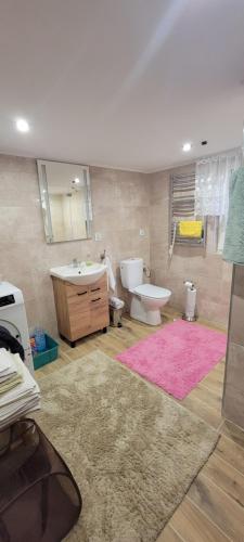a bathroom with a toilet and a sink and a tub at Duchniczowe in Prusie