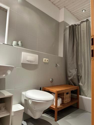 a bathroom with a toilet and a shower at Apartment Auszeit im Ski- und Wandergebiet Spitzingsee - neu renoviert in Schliersee