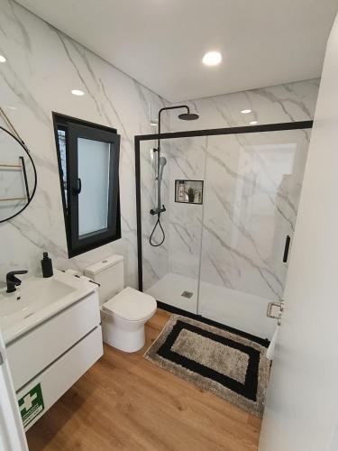 a bathroom with a shower and a toilet and a sink at Refúgio D'Aguiar in Aguiar da Beira