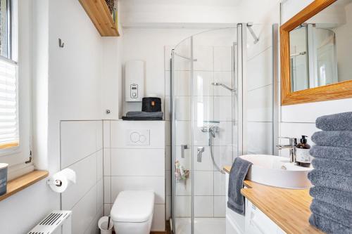 a bathroom with a shower and a toilet and a sink at Kleines Schleihaus Lorenz in Boren