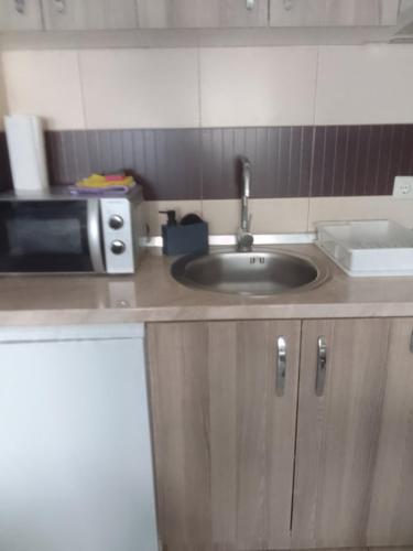 a kitchen counter with a sink and a microwave at Vea in Banja Koviljača