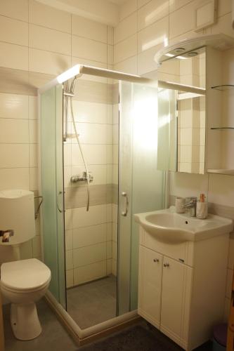 a bathroom with a shower and a toilet and a sink at Apartments Niković in Risan