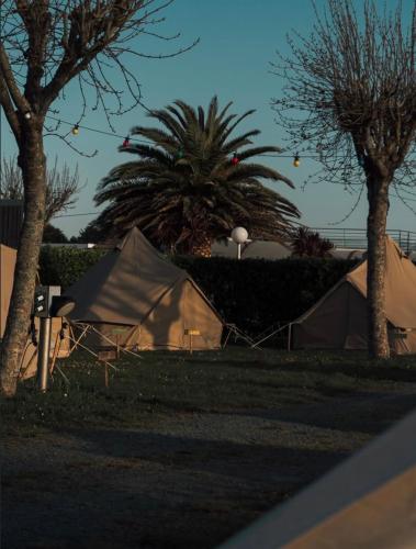 a tent in the grass between two palm trees at Glamping Spot - Penmarch in Penmarch