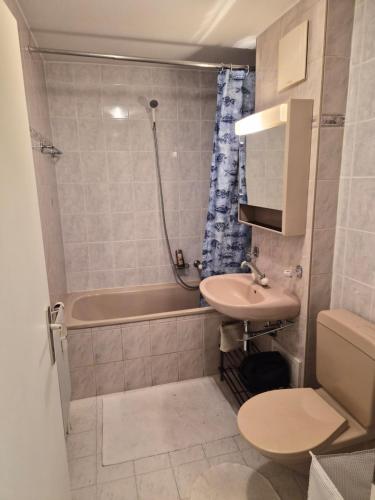 a bathroom with a sink and a toilet and a shower at Torgon in Torgon