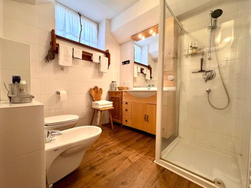 a bathroom with a shower and a toilet and a sink at Villa ai noci in Carano