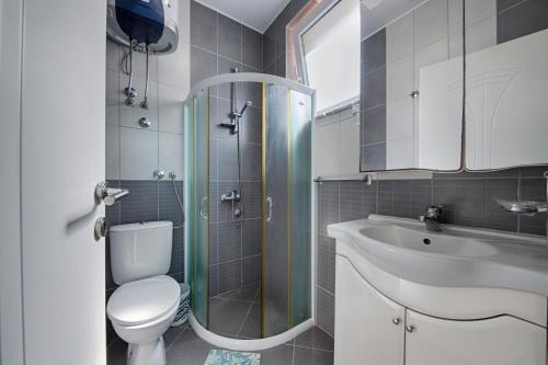 a bathroom with a toilet and a sink and a shower at Vila Pepic in Dobra Voda