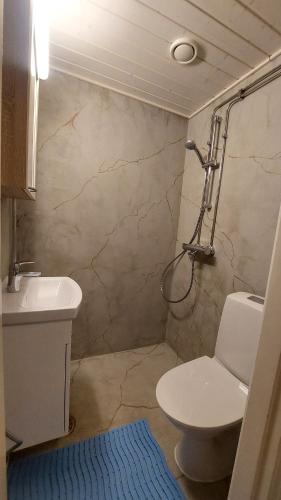a bathroom with a toilet and a sink at Modern studio apartment near the harbor and city center in Lappeenranta