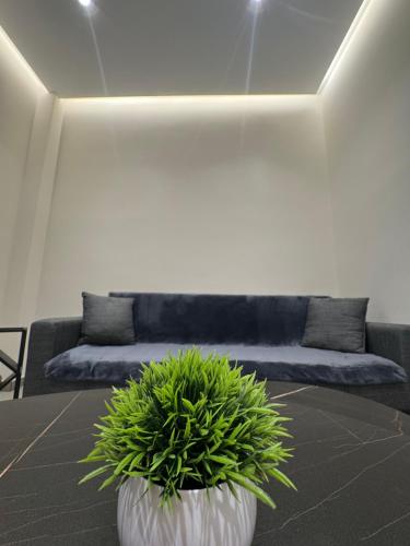 Attica Lux Suite