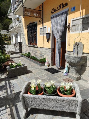 a group of flowers in pots in front of a building at Cà MEA in Re