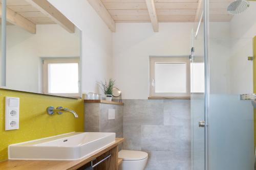 a bathroom with a sink and a shower at Tinyhaus Nähe Bodensee in Neukirch