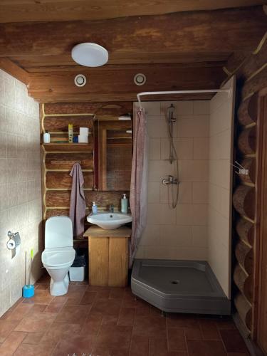 a bathroom with a toilet and a sink at Kuningatalu Palkmaja in Roosisaare