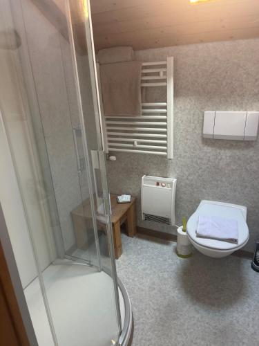 a small bathroom with a shower and a toilet at Landliebi 3-room apartment in Faulensee