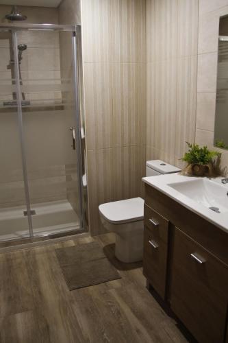 a bathroom with a toilet and a shower and a sink at Mendiko Baserria in Amurrio