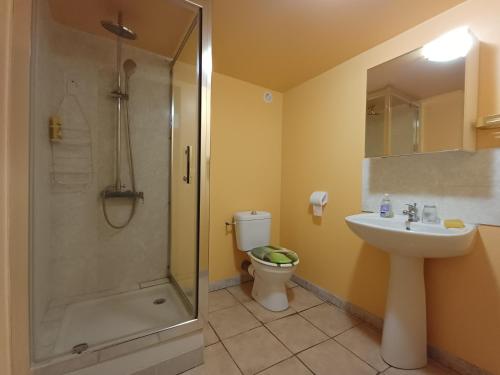 a bathroom with a shower and a sink and a toilet at La Chambre du Bout du Monde in Bouillac