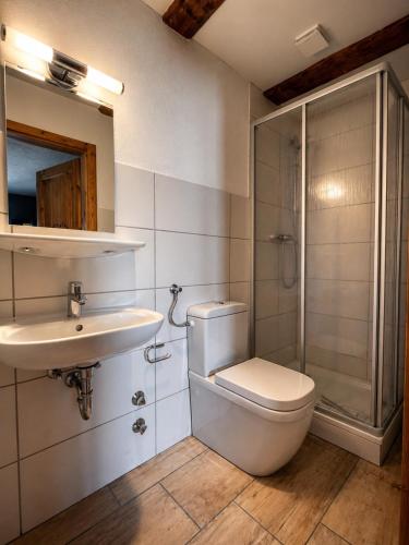 a bathroom with a toilet and a sink and a shower at Pension ElbeStay in Königstein an der Elbe