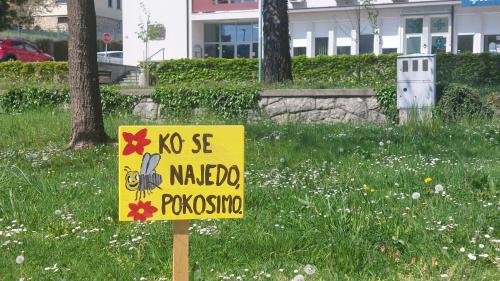 Kotiček & Čatež & Paradiso