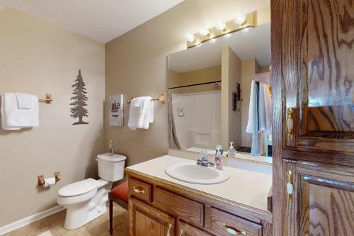 a bathroom with a sink and a toilet and a mirror at Hot Tub & Stunning Views! Hayesville Retreat in Cedar Cliff